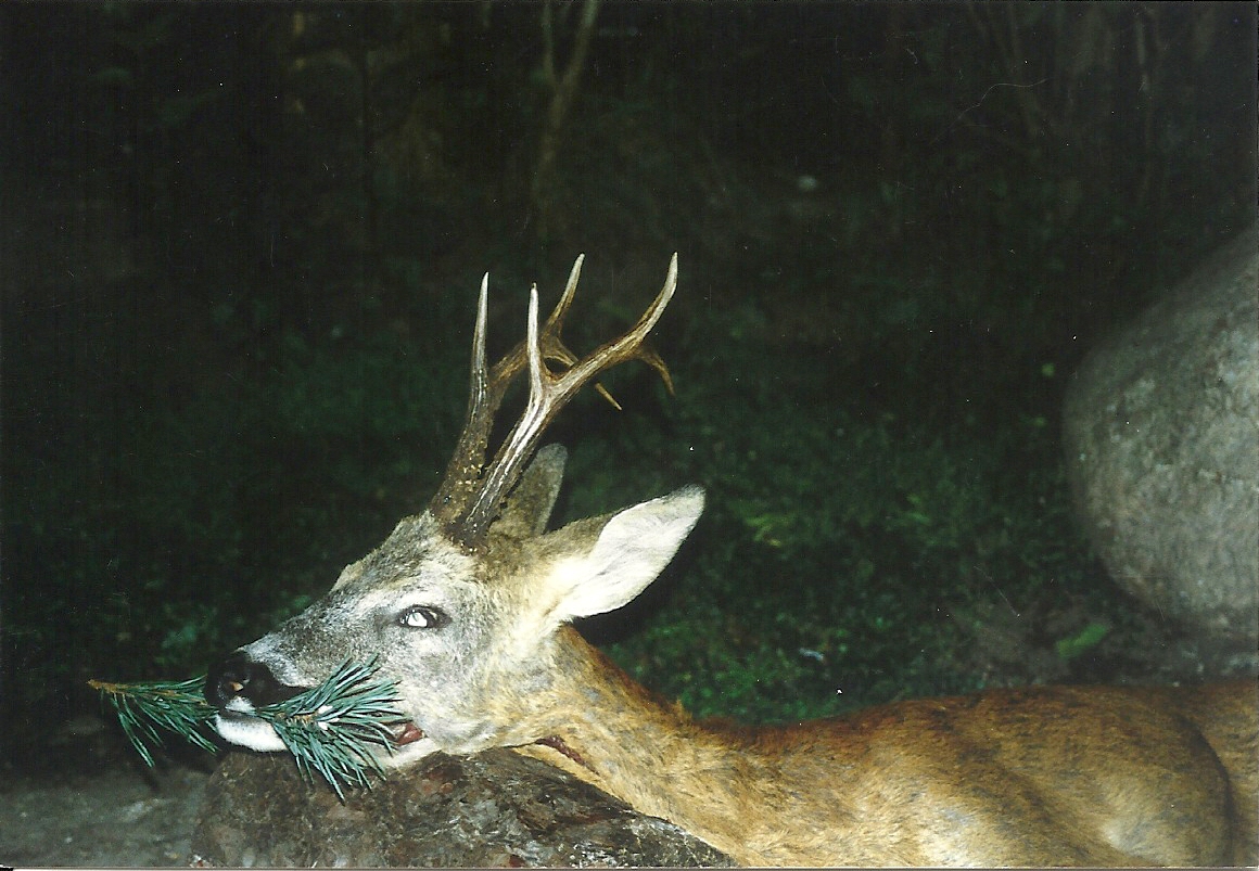 Scan_Pic0013